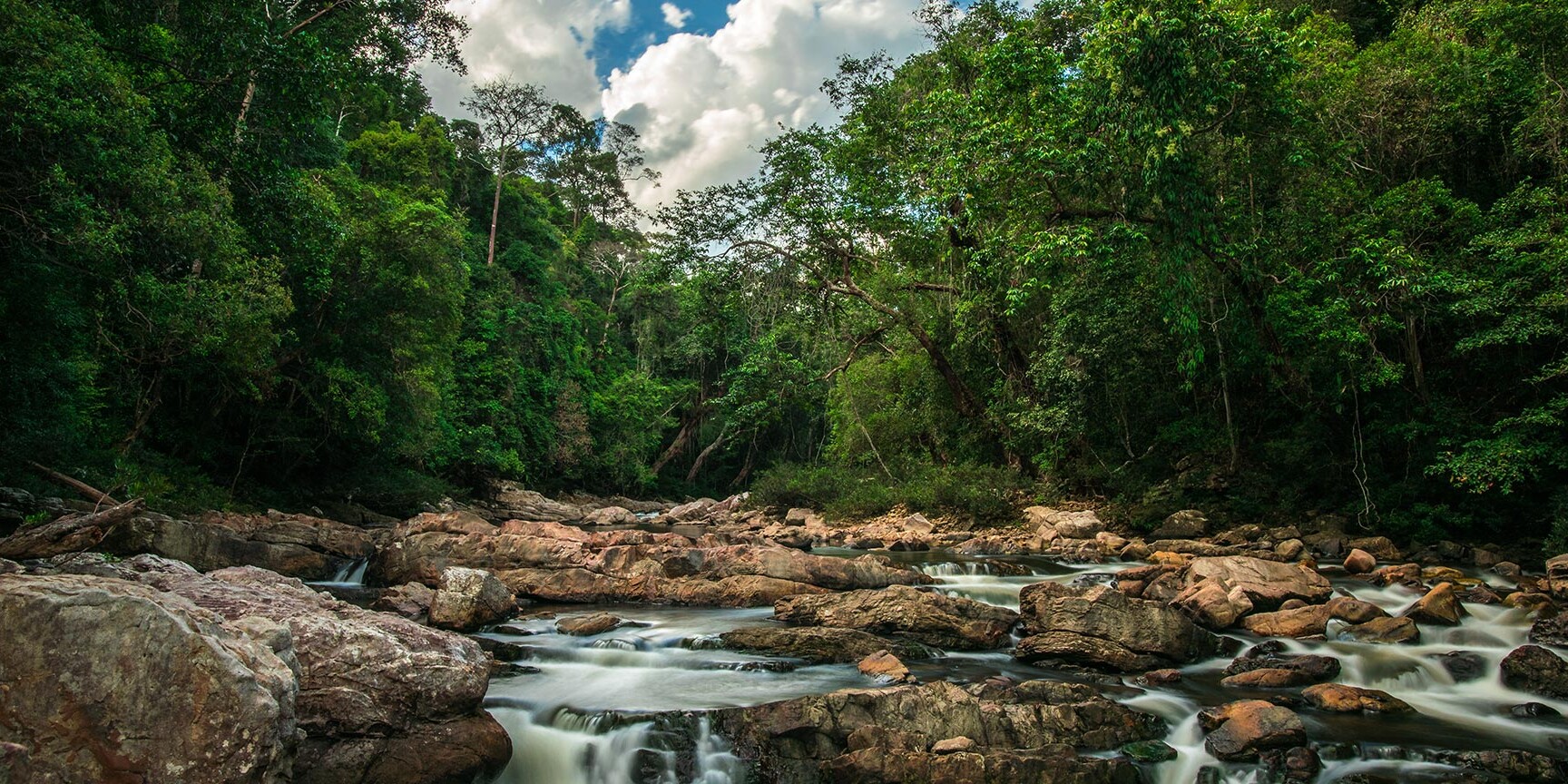 Taman Negara National Park in Malaysia Taman Negara National Park in Malaysia