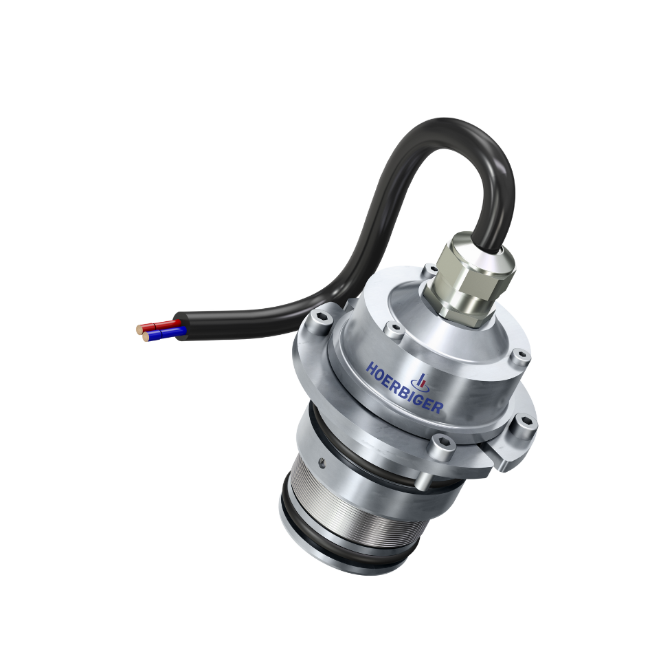 Hoerbiger PFI Injektor Hoerbiger PFI Injektor