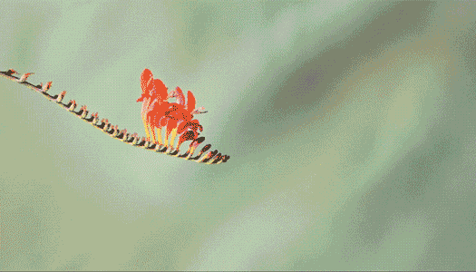 Ultra fast Ultra fast