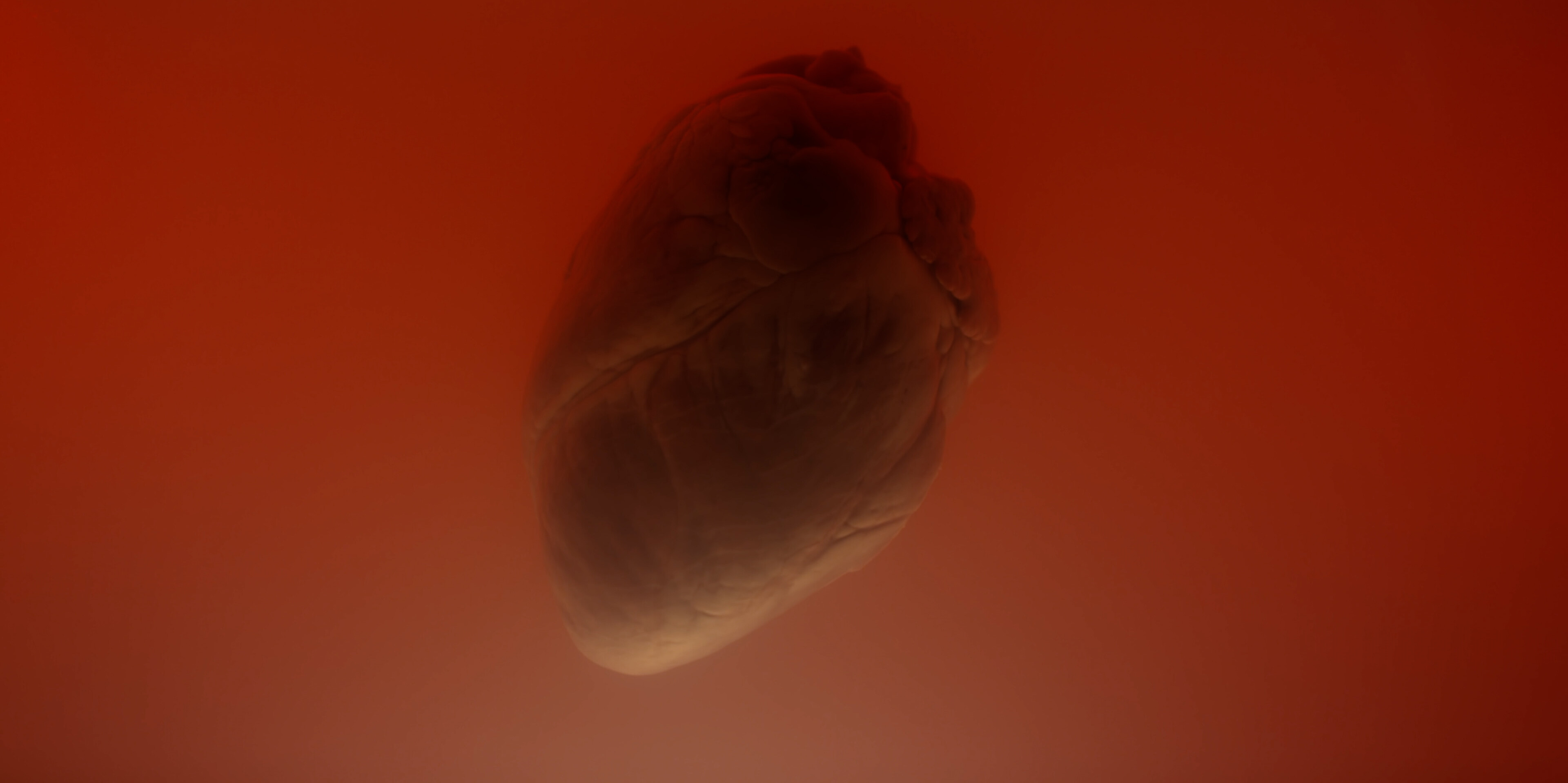 Heartbeat moments Heartbeat moments