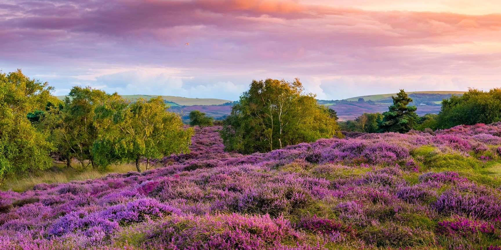 Studland in UK Studland in UK